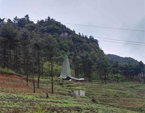 把脈“黔”鋅地，問診開良方